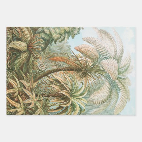 Ferns Filicinae Laubfarne by Ernst Haeckel Wrapping Paper Sheets