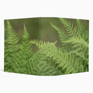 ferns green 3 ring binder