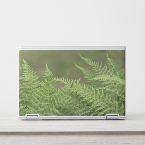 ferns green HP laptop skin