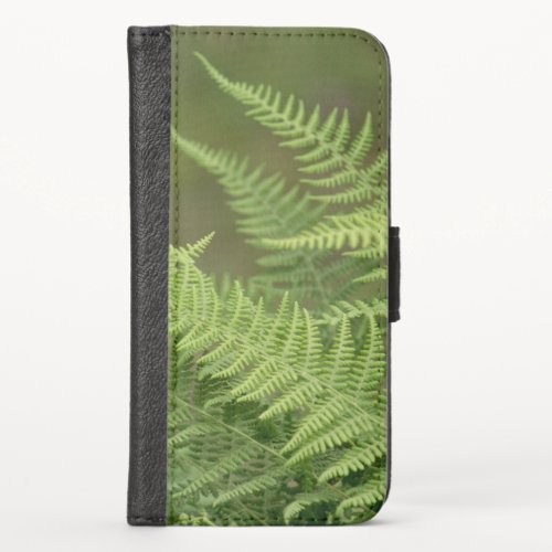 ferns green iPhone x wallet case