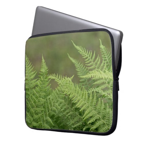 ferns green laptop sleeve