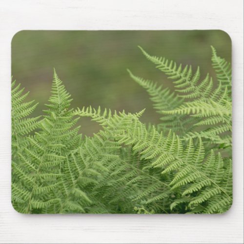 ferns green mouse pad