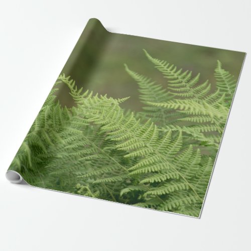 ferns green wrapping paper