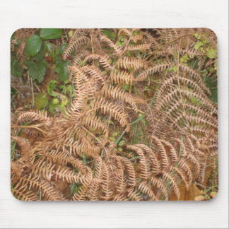Ferns in Autumn Mouse Pad
