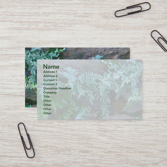 Ferns in Philadelphia Business Card (Front/Back In Situ)