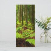 Ferns in the forest (Standing Front)