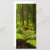 Ferns in the forest (Front/Back)