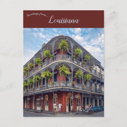 Ferns in the French Quarter New Orleans Louisiana Postcard