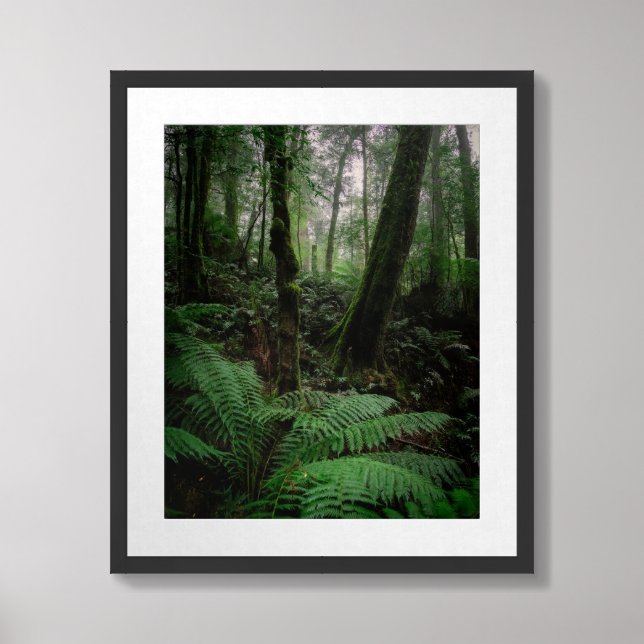 Ferns in the Rainforest Framed Art (Framed Front)