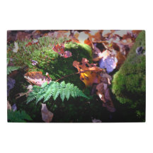 Ferns Leaves and Moss
