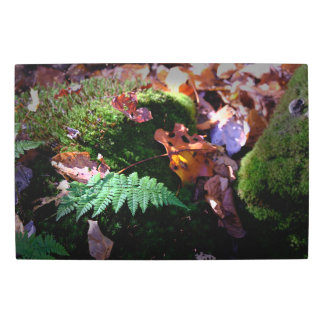 Ferns Leaves and Moss Metal Print
