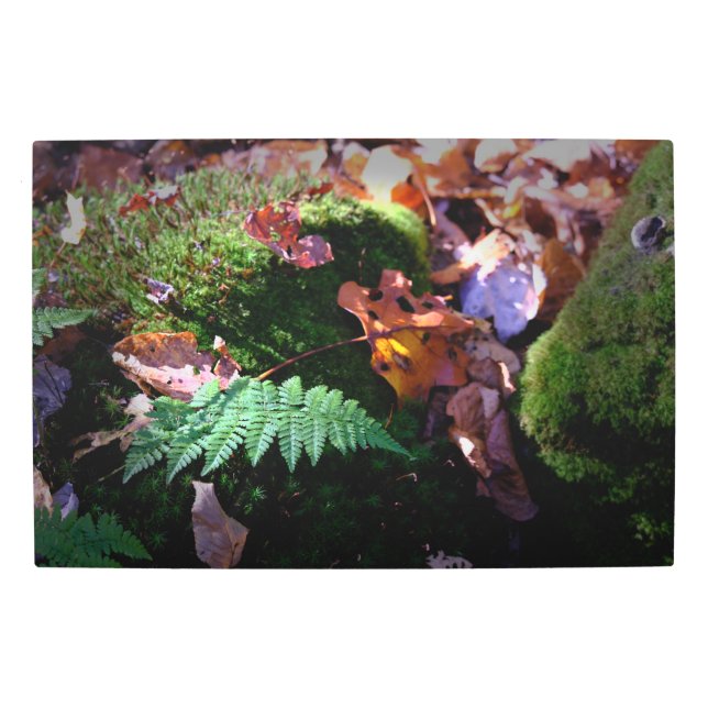 Ferns Leaves and Moss Metal Print (Front)