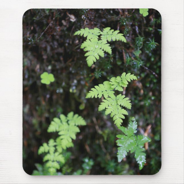 Ferns - mouse pad (Front)