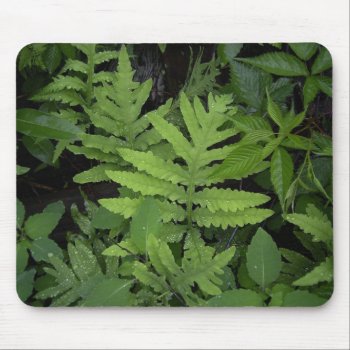 Ferns Mouse Pad by llaureti at Zazzle
