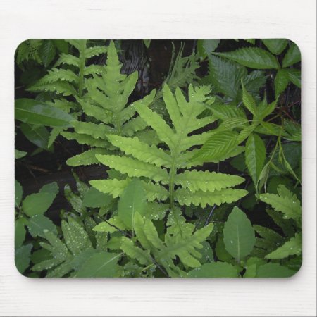 Ferns Mouse Pad