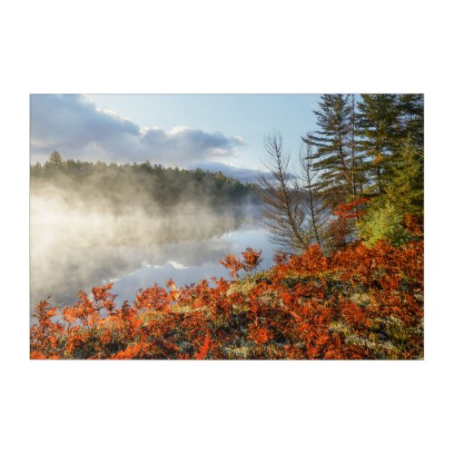 Ferns on Shoreline  Paradise Michigan Acrylic Print