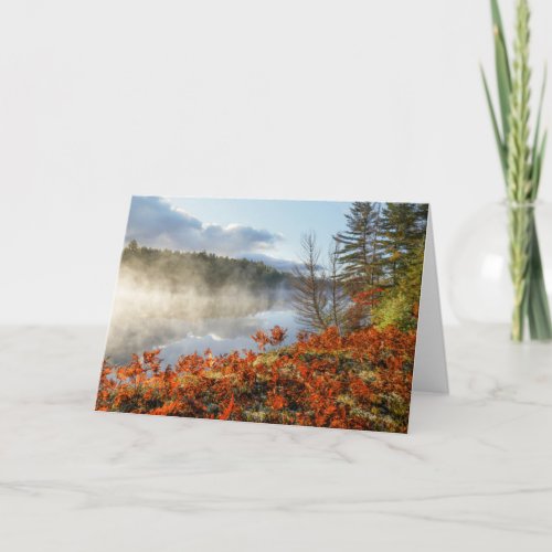 Ferns on Shoreline  Paradise Michigan Card