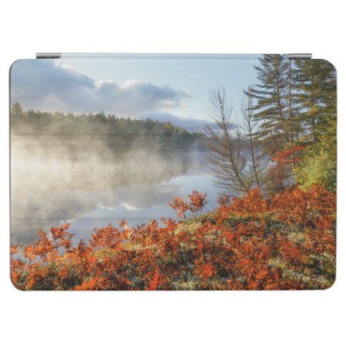 Ferns on Shoreline  Paradise Michigan iPad Air Cover