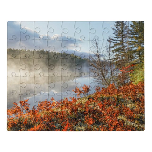Ferns on Shoreline | Paradise, Michigan Jigsaw Puzzle (Puzzle Horizontal)