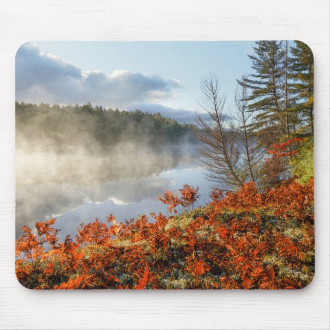 Ferns on Shoreline | Paradise, Michigan Mouse Pad (Front)