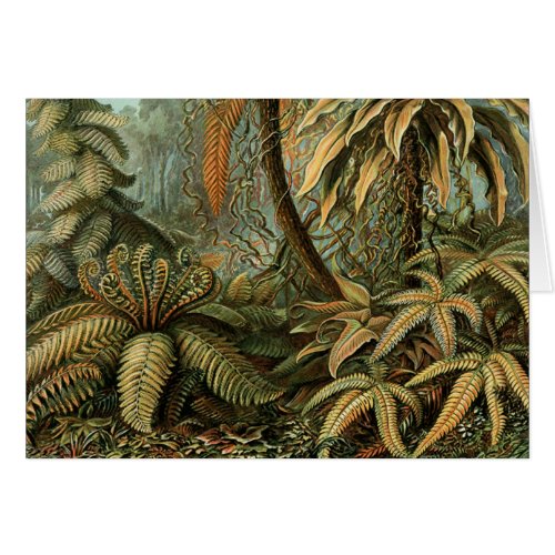 Ferns Palm Tree Antique Botanical Ferns Art