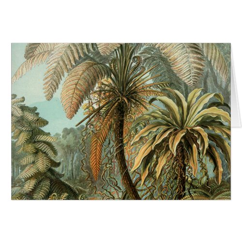 Ferns Palm Tree Antique Botanical Ferns Art