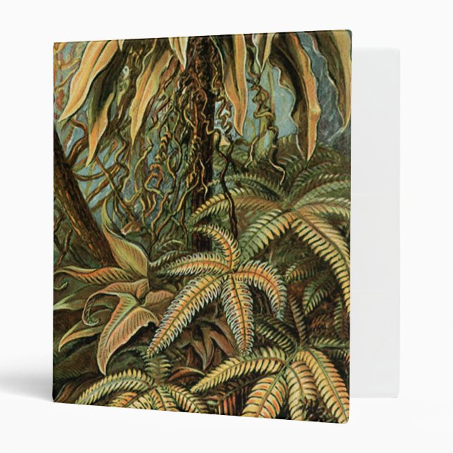 Ferns Palm Tree Antique Botanical Ferns Art Binder (Front/Inside)