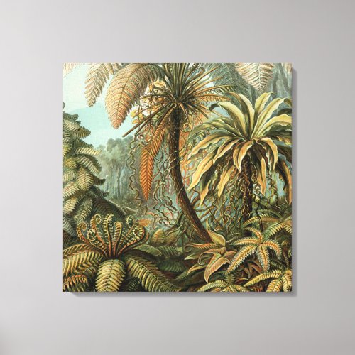 Ferns Palm Tree Antique Botanical Ferns Art Canvas Print