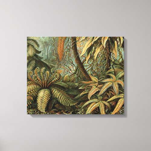 Ferns Palm Tree Antique Botanical Ferns Art Canvas Print