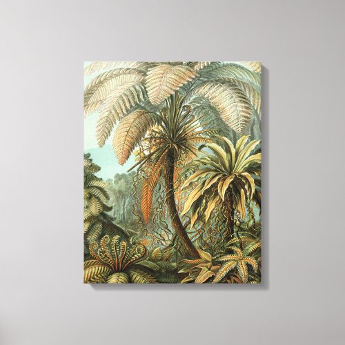Ferns Palm Tree Antique Botanical Ferns Art Canvas Print