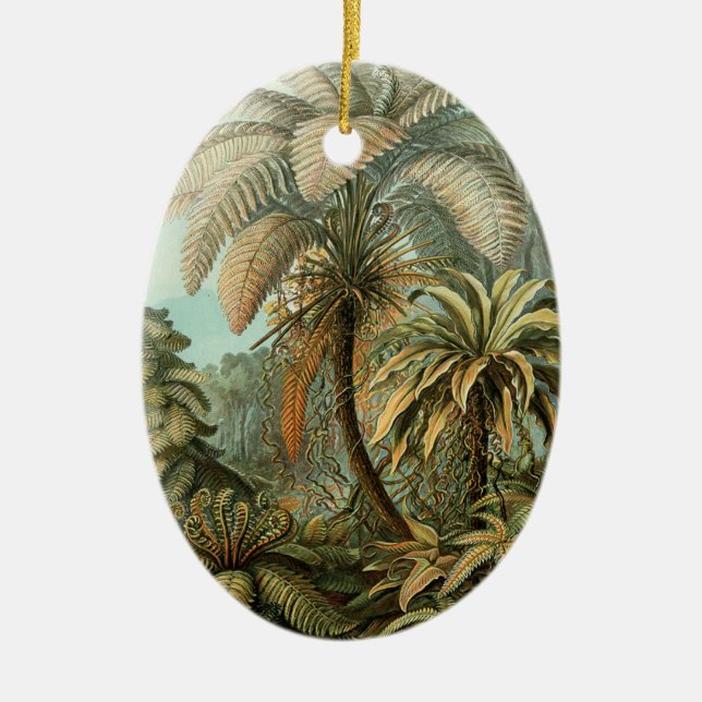 Ferns Palm Tree Antique Botanical Ferns Art Ceramic Ornament (Front)