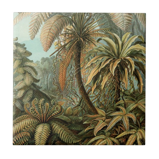 Ferns Palm Tree Antique Botanical Ferns Art Ceramic Tile (Front)
