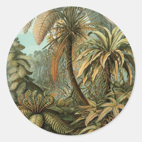 Ferns Palm Tree Antique Botanical Ferns Art Classic Round Sticker