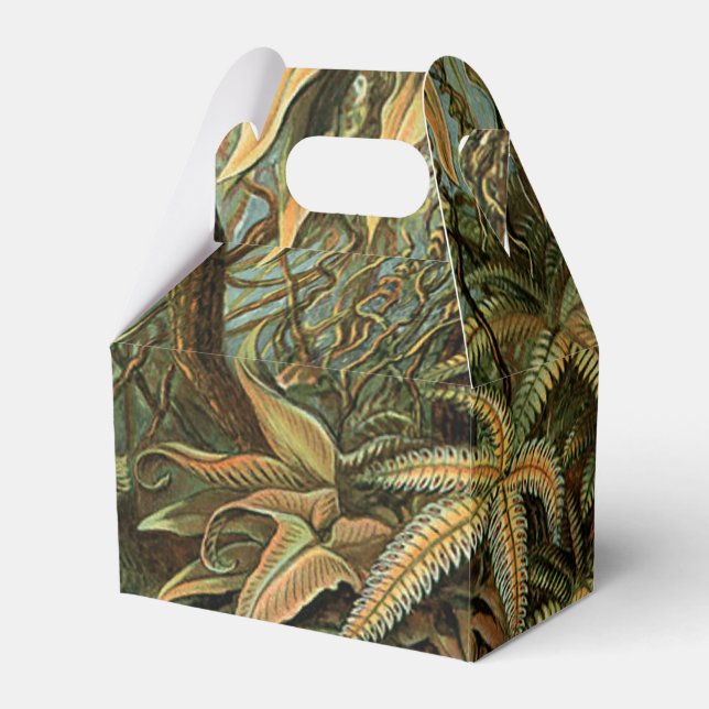 Ferns Palm Tree Antique Botanical Ferns Art Favor Boxes (Front Side)
