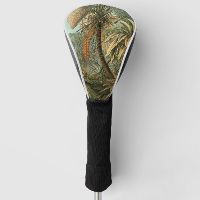 Ferns Palm Tree Antique Botanical Ferns Art Golf Head Cover (Front)