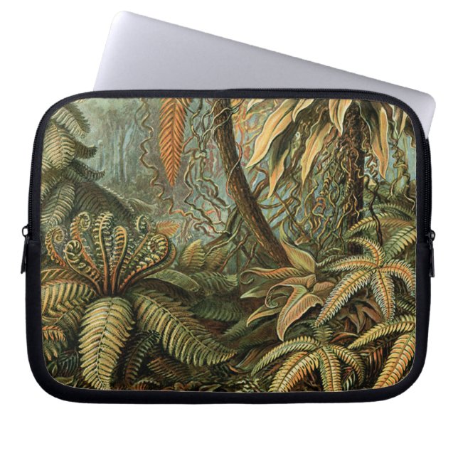 Ferns Palm Tree Antique Botanical Ferns Art Laptop Sleeve (Front)