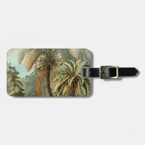 Ferns Palm Tree Antique Botanical Ferns Art Luggage Tag