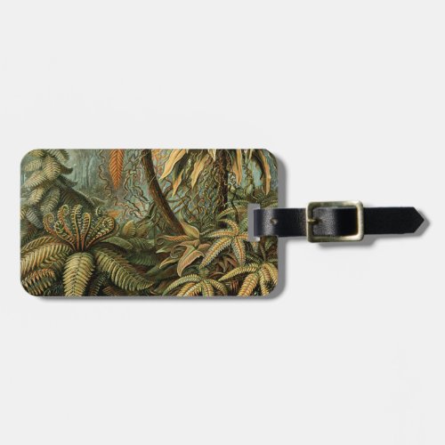 Ferns Palm Tree Antique Botanical Ferns Art Luggage Tag