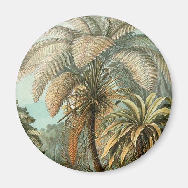 Ferns Palm Tree Antique Botanical Ferns Art Magnet (Front)