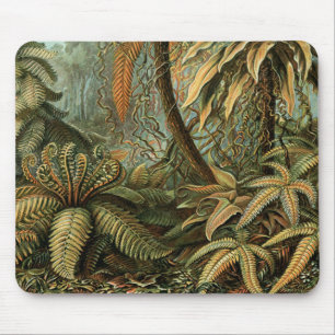 Ferns Palm Tree Antique Botanical Ferns Art Mouse Pad