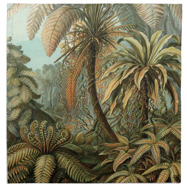 Ferns Palm Tree Antique Botanical Ferns Art Napkin (Front)