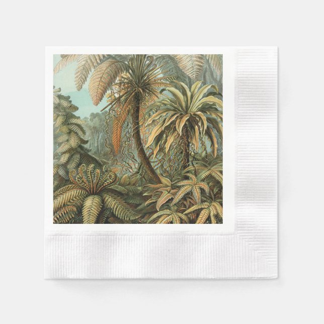 Ferns Palm Tree Antique Botanical Ferns Art Napkins (Front)