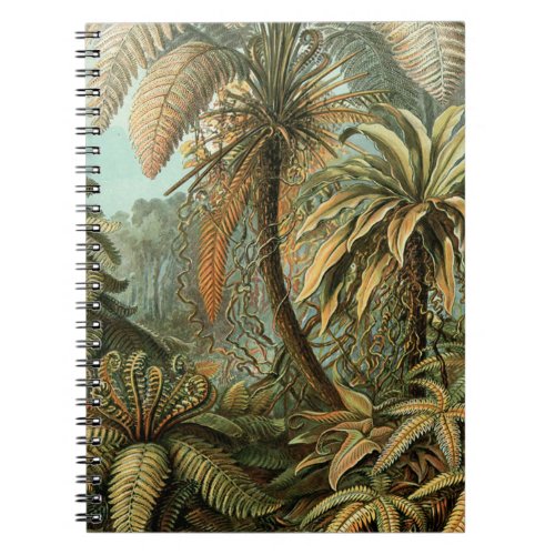 Ferns Palm Tree Antique Botanical Ferns Art Notebook