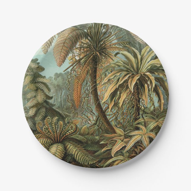 Ferns Palm Tree Antique Botanical Ferns Art Paper Plates (Front)