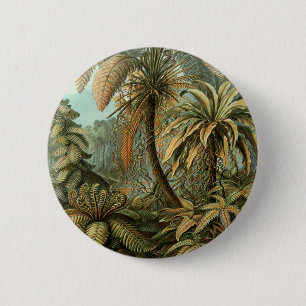 Ferns Palm Tree Antique Botanical Ferns Art Pinback Button