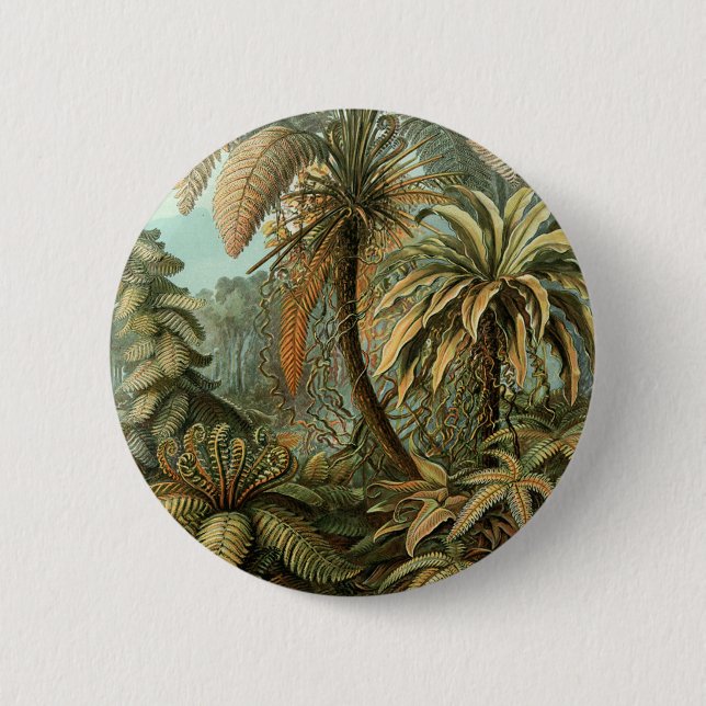 Ferns Palm Tree Antique Botanical Ferns Art Pinback Button (Front)