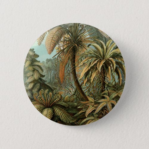 Ferns Palm Tree Antique Botanical Ferns Art Pinback Button