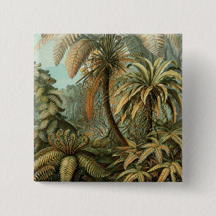 Ferns Palm Tree Antique Botanical Ferns Art Pinback Button