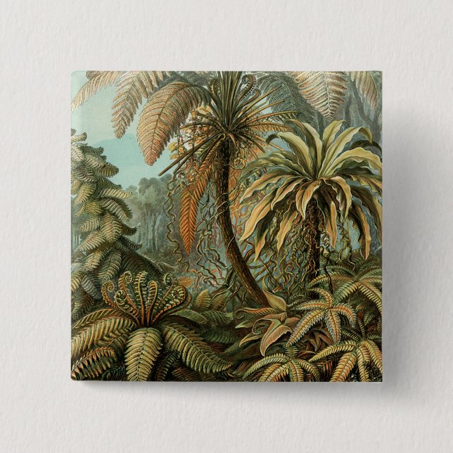 Ferns Palm Tree Antique Botanical Ferns Art Pinback Button (Front)