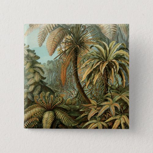 Ferns Palm Tree Antique Botanical Ferns Art Pinback Button